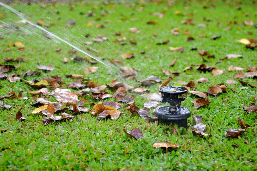 Lawn sprinkler close-up