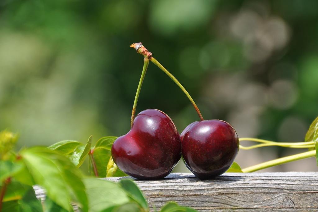 cherries on a wooden rail