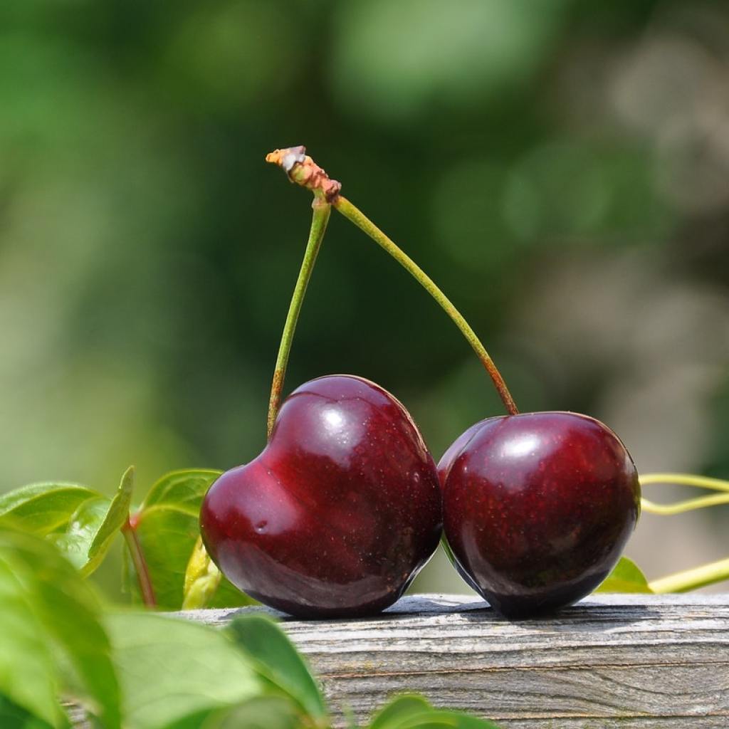 Cherries on a wooden rail