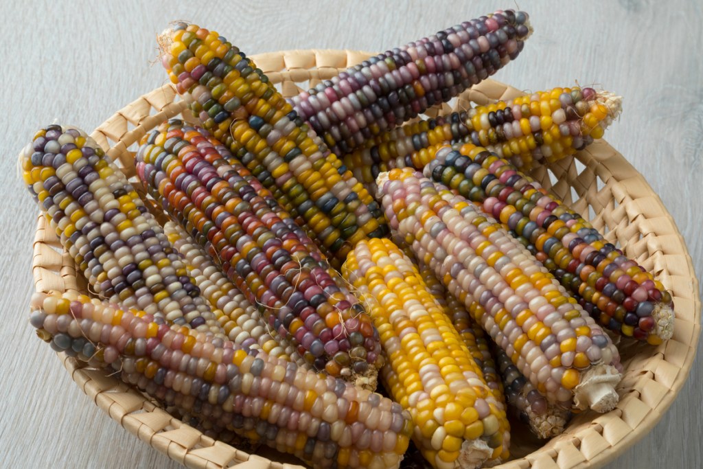 basket filled with glass gem corn on the cob