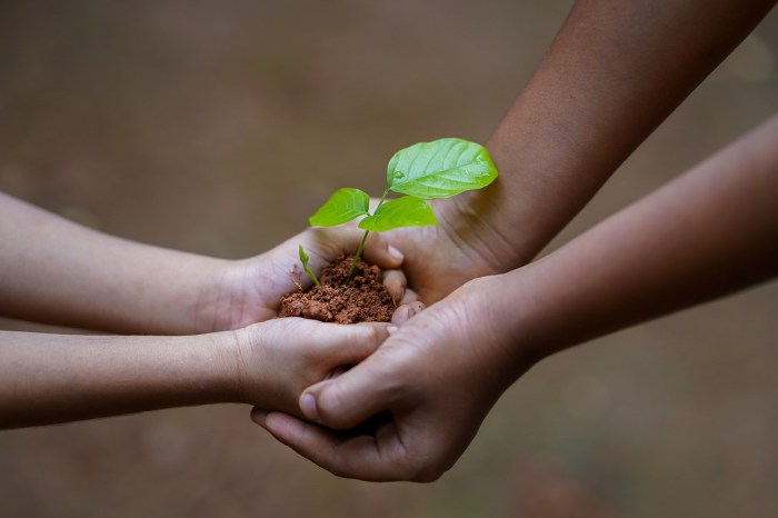 An adult's hands cupped around a child's cupped hands. In the child's hands in a plant