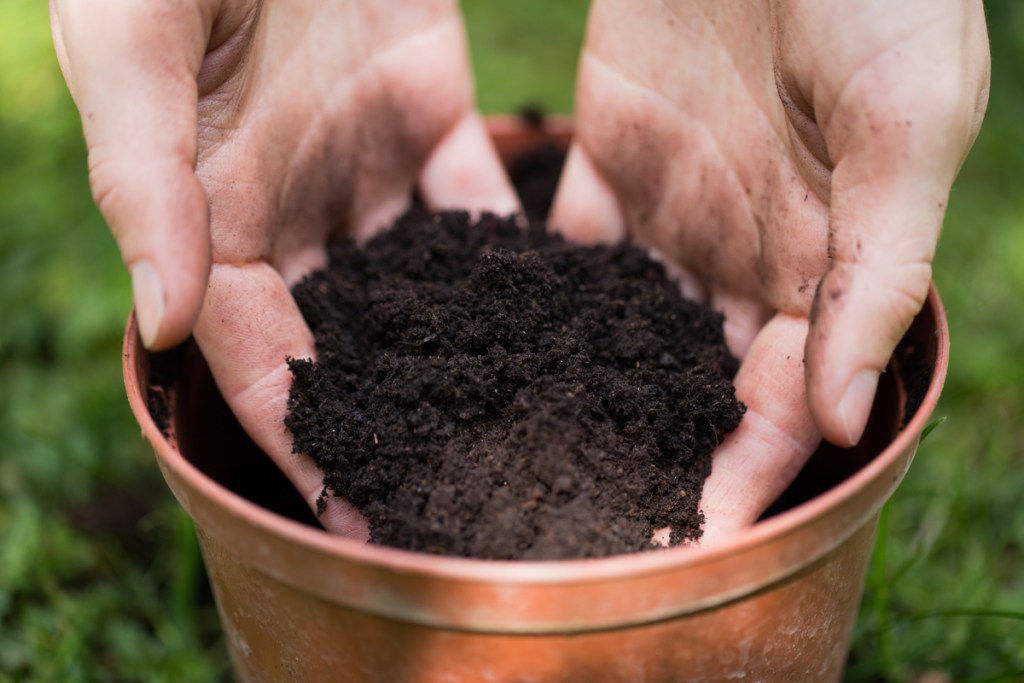 Hands scooping soil out of a flower pot