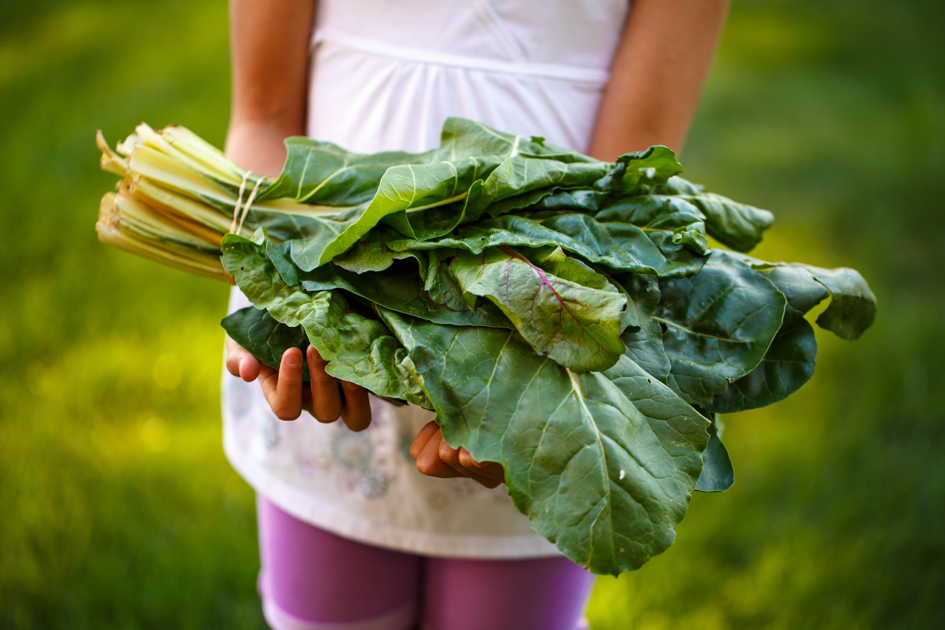 girl with swiss chard