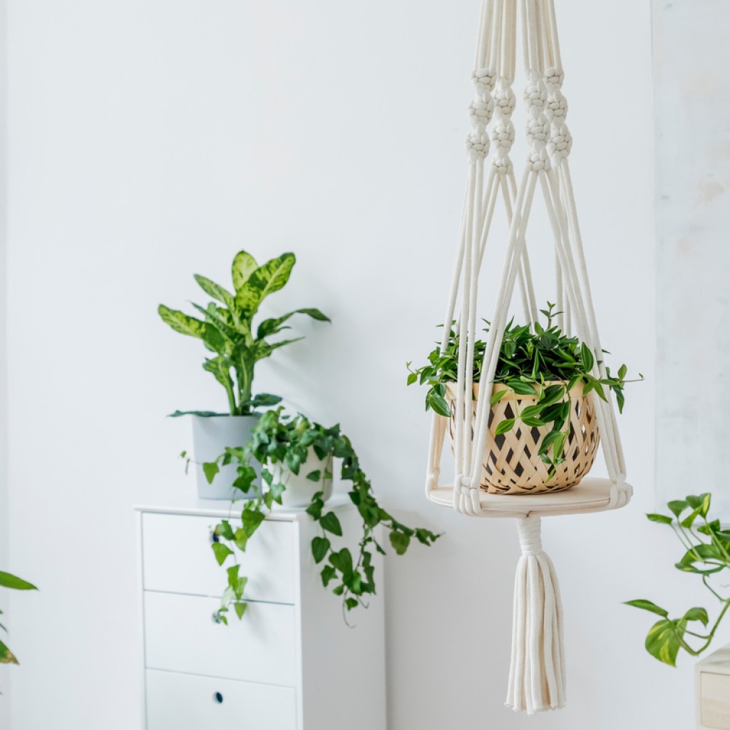 Macrame plant hanger