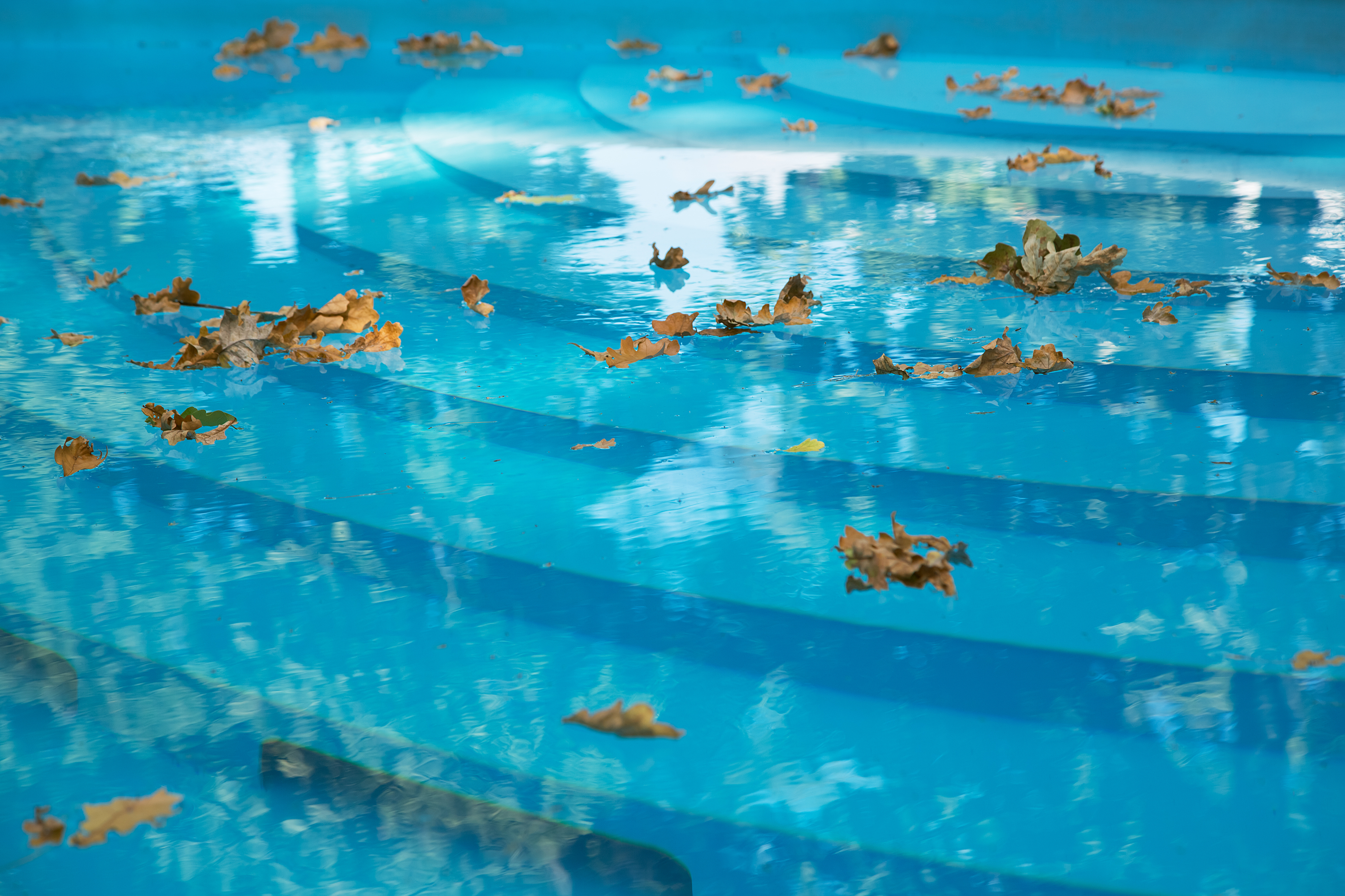 How to Prepare Your Pool for Fall | HappySprout