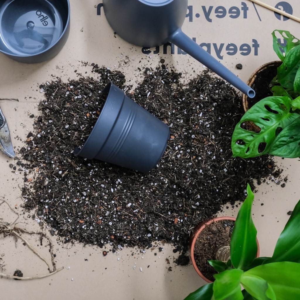 A workspace set up to repot a plant