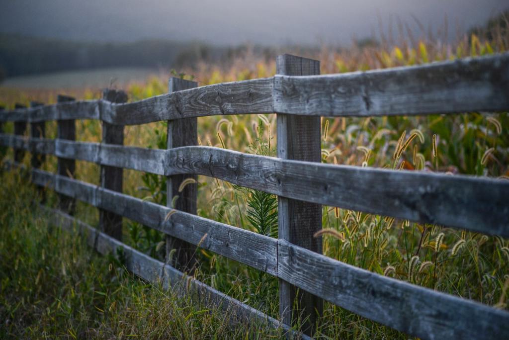split rail fence with grass