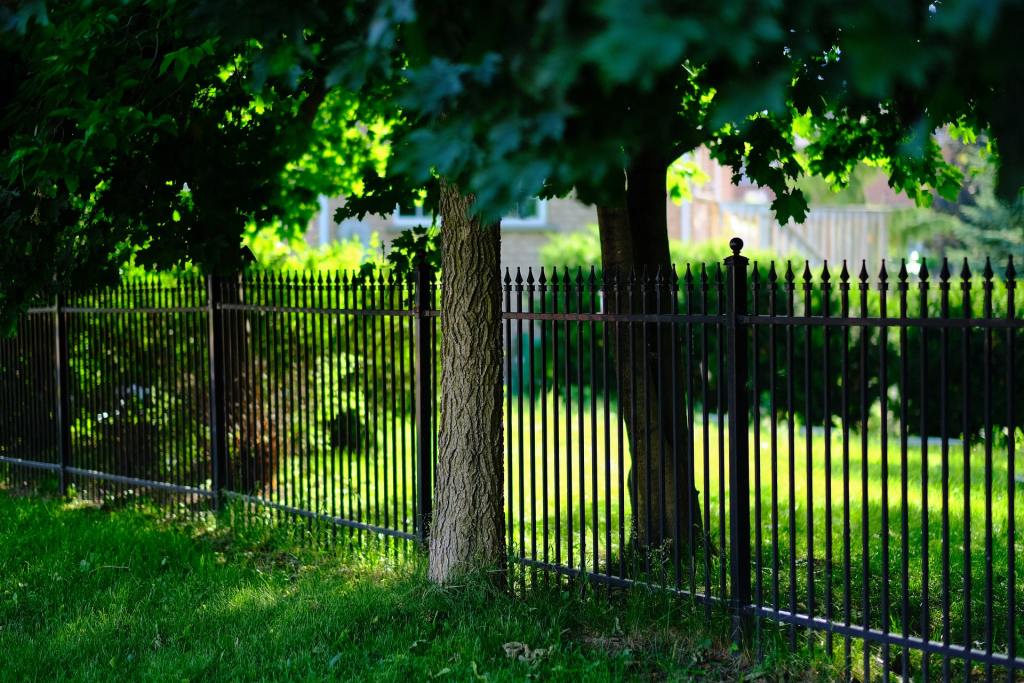 iron fence with trees