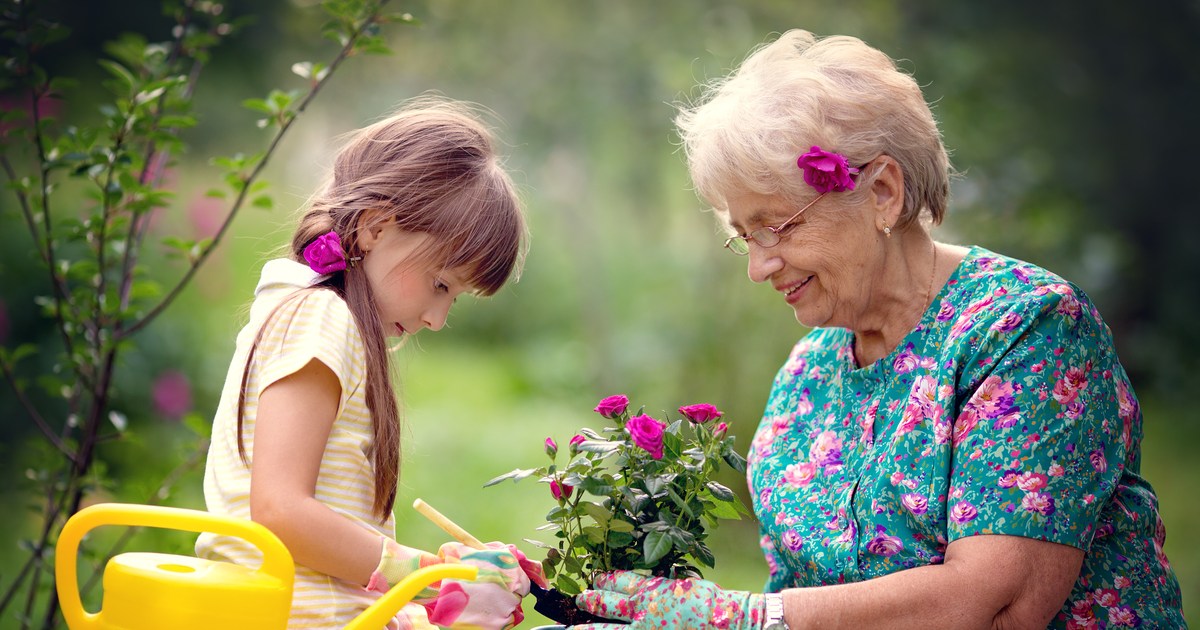 The Best Online Gardening Course For Every Budget HappySprout the-best-online-gardening-course-for-every-budget-happysprout