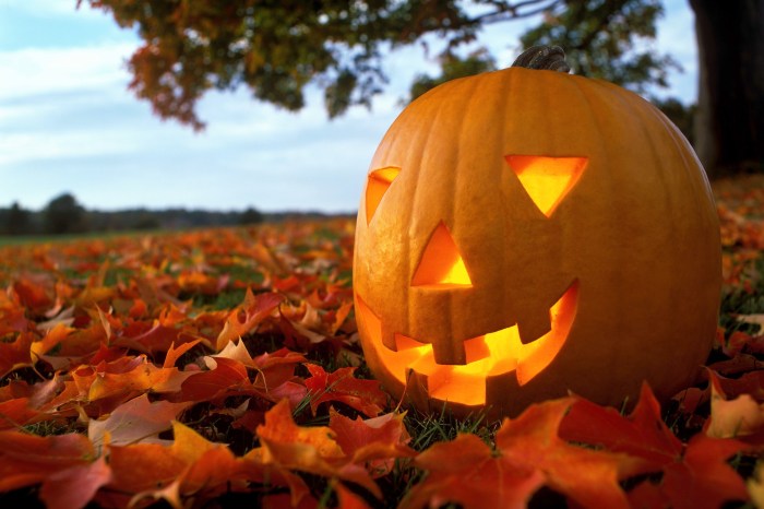 A jack-o-lantern outdoors surrounded by fall leaves