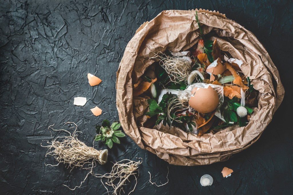 Kitchen scraps in paper bag.