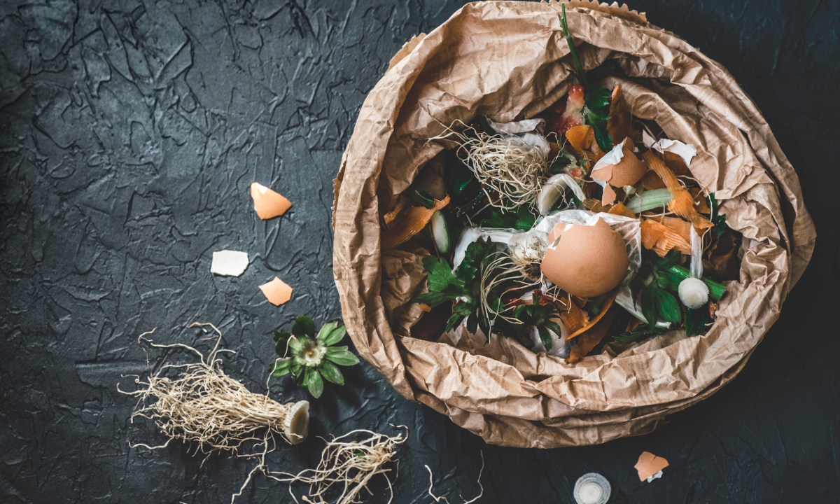Kitchen scraps in paper bag.