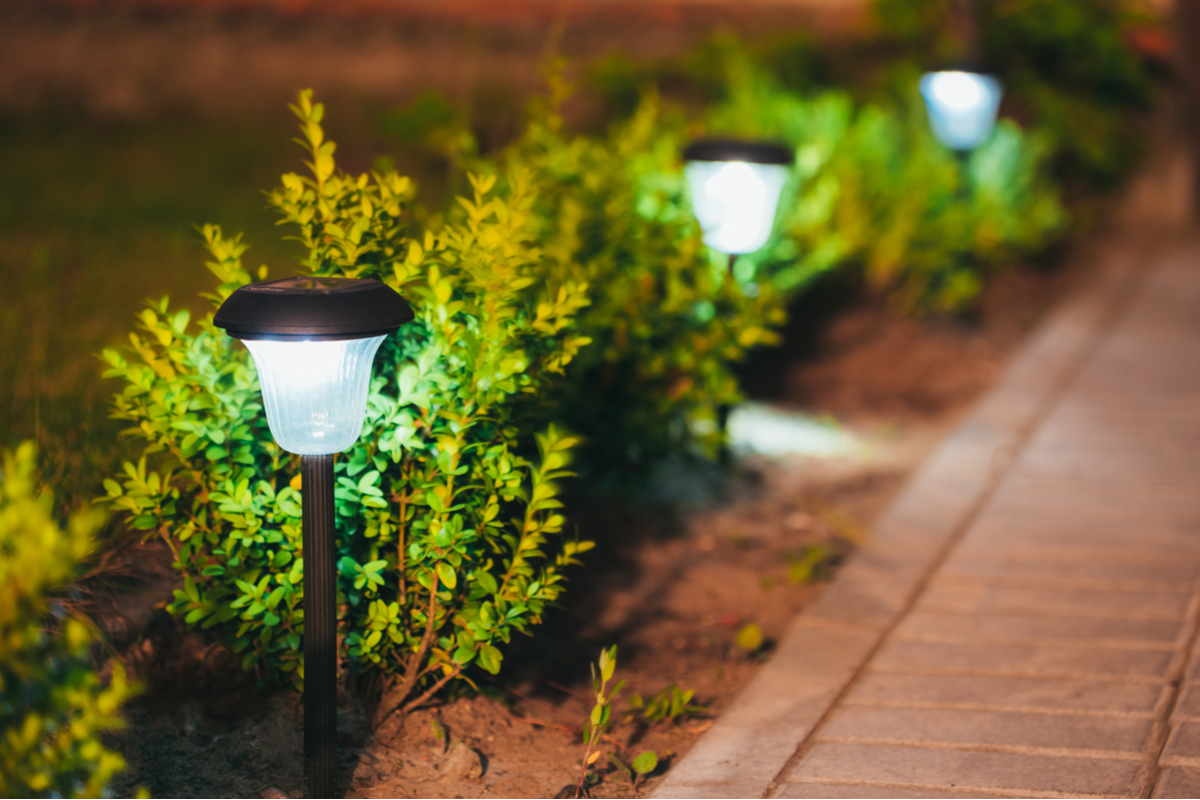 A line of pathway solar lights