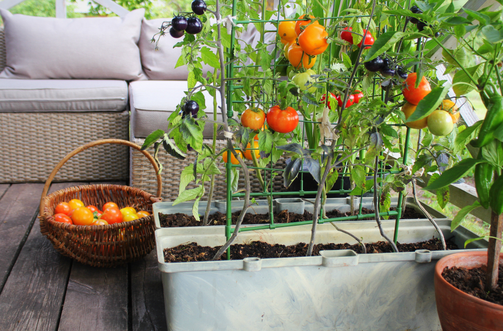 balcony garden containers