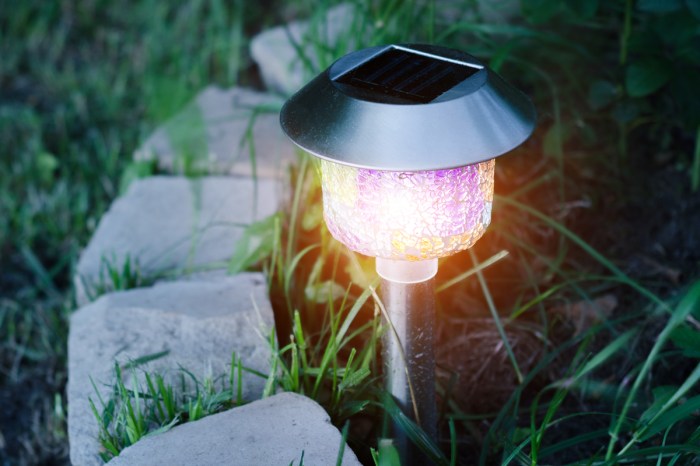 Close up of a solar pathway light
