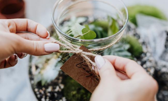 Terrarium project kit
