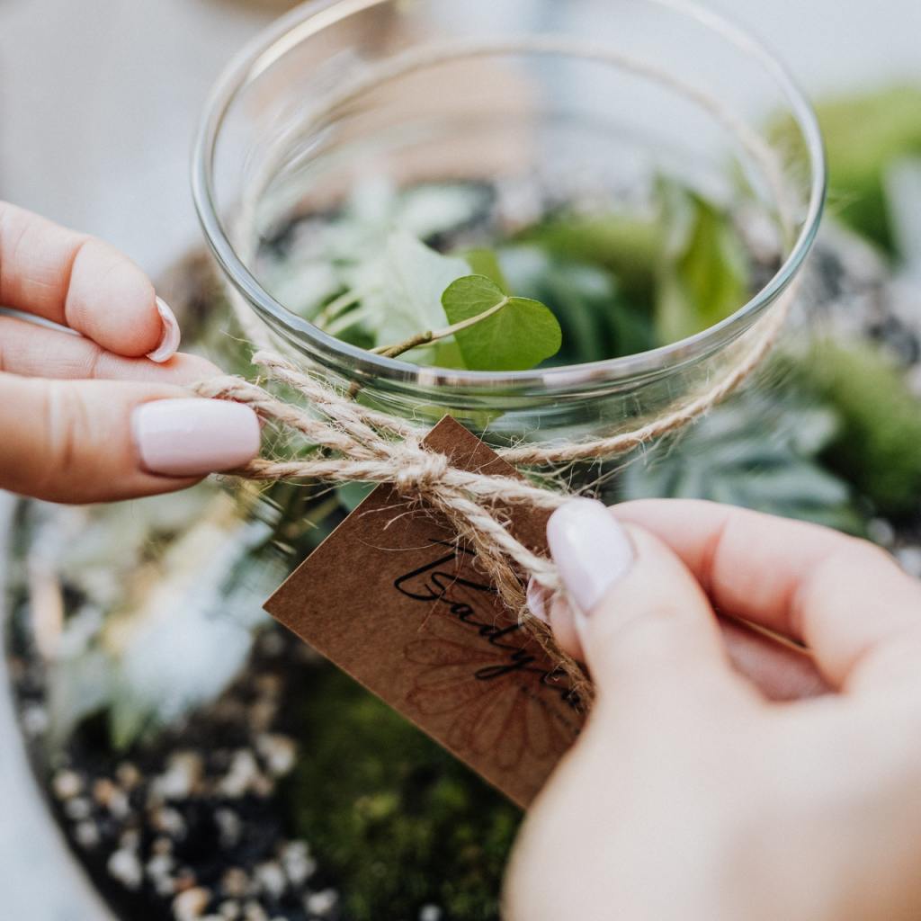 Terrarium project kit