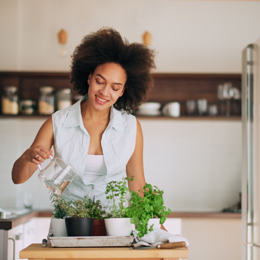 A woman watering her indoor herbs