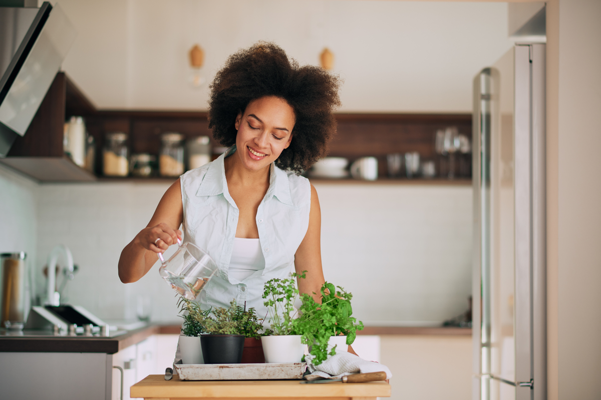 A woman watering her indoor herbs
