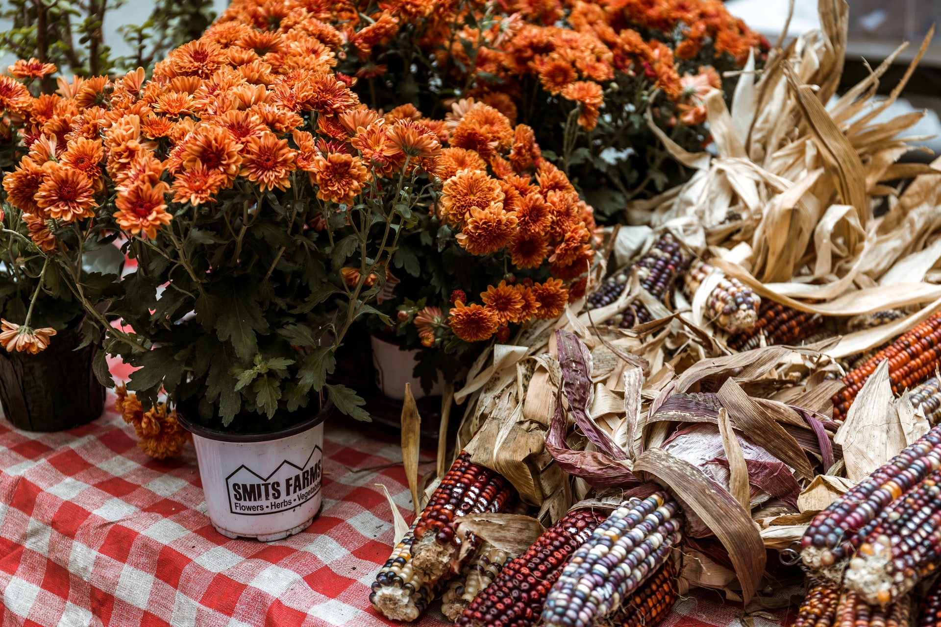 Flowers and dried corn