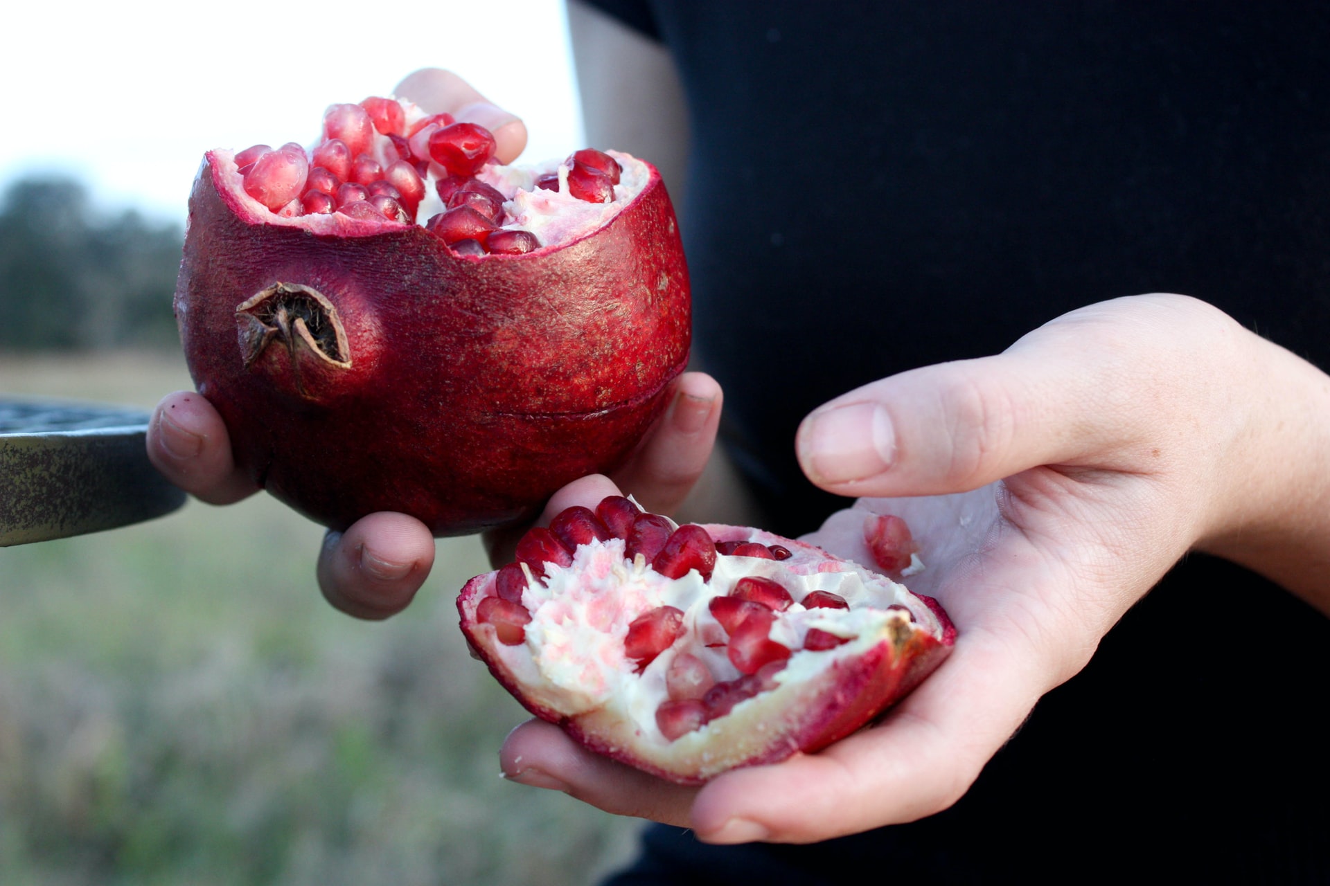 hands holding a pomegranate