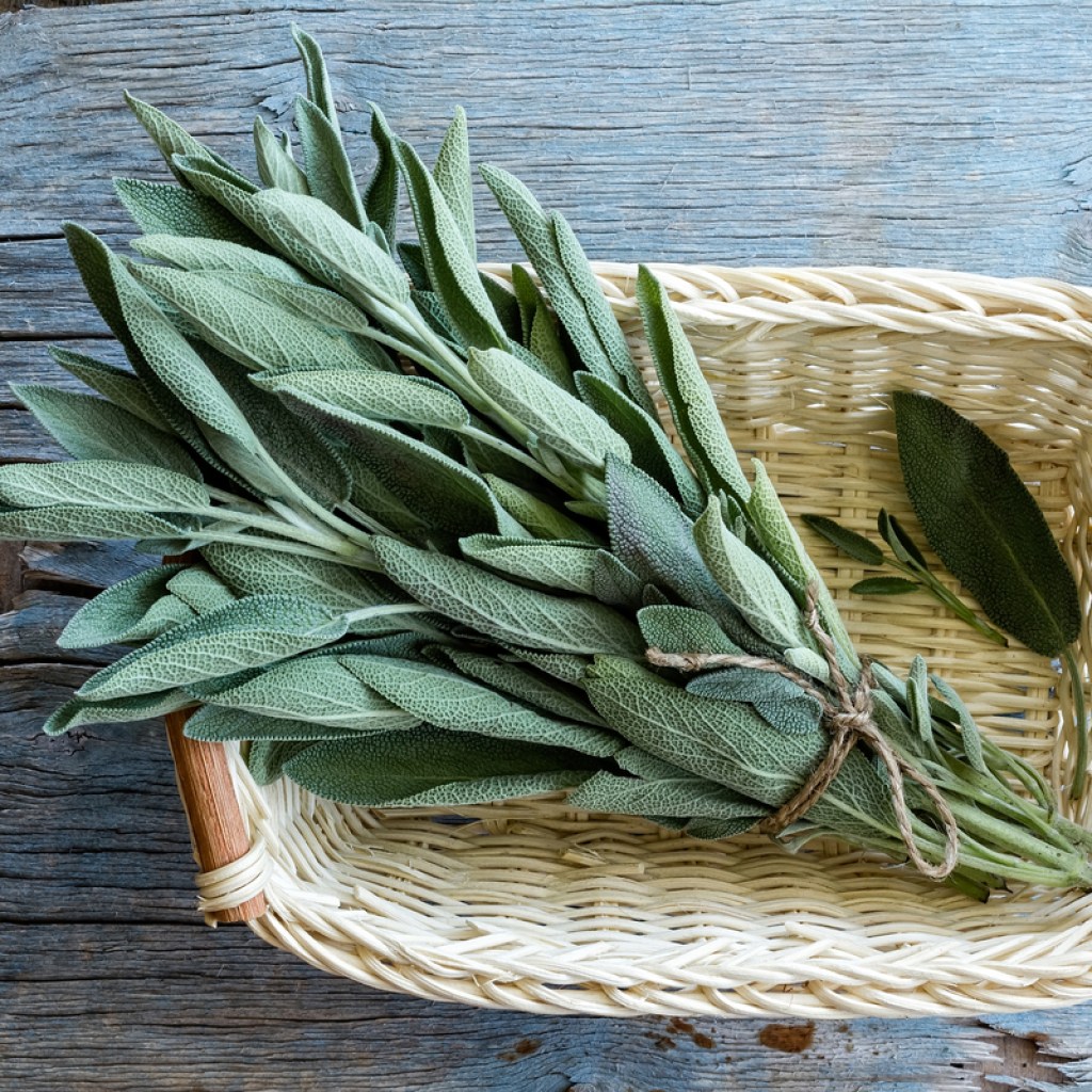 Bundled sage in a basket