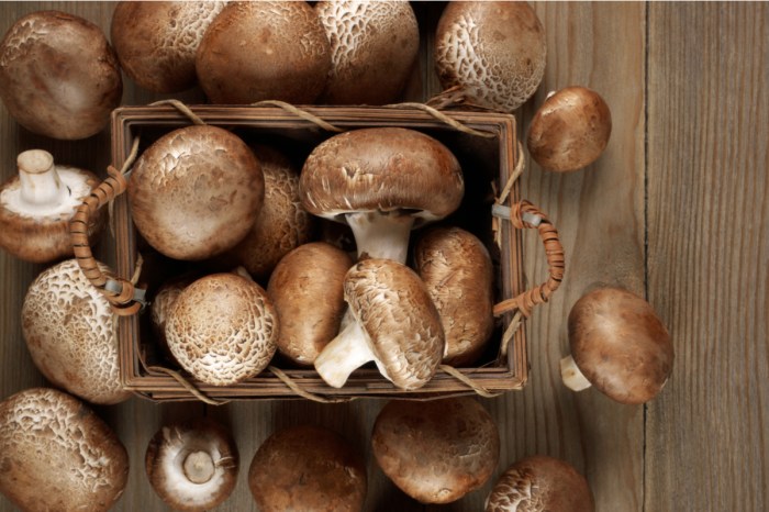 A small basket full of cremini mushrooms