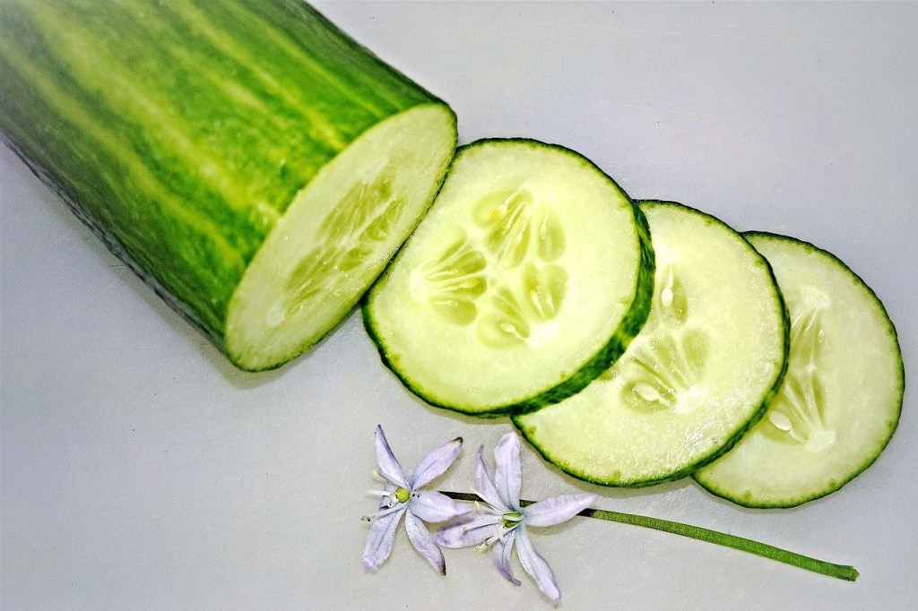 A cucumber with several slices of cucumber sitting next to it on a white background