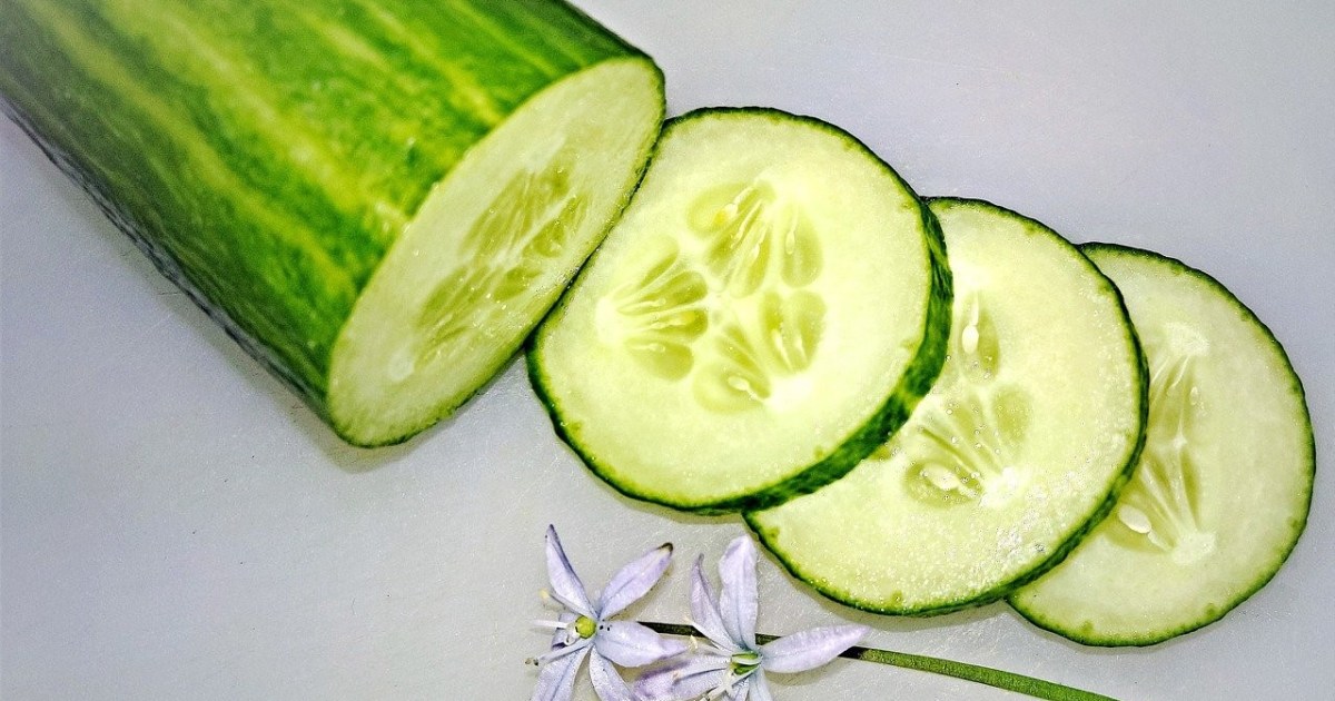 How to Start Cucumber Seeds Indoors HappySprout