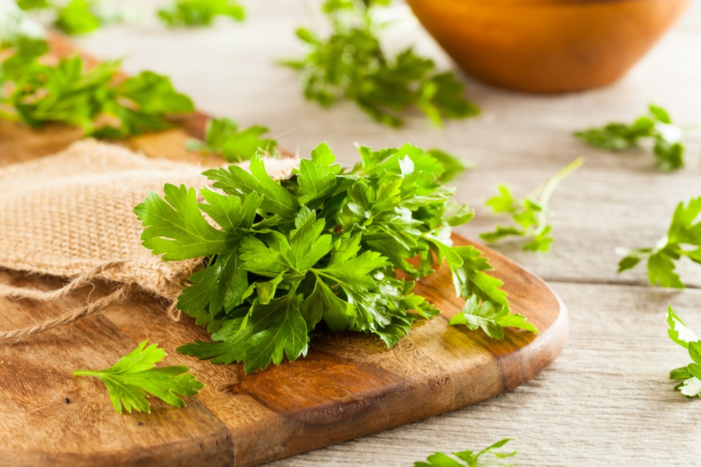 Italian Parsley Vs. Curly Parsley: Is There A Difference? | Happysprout