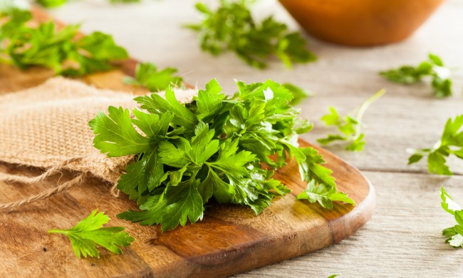 Fresh sprigs of flat leaf parsley