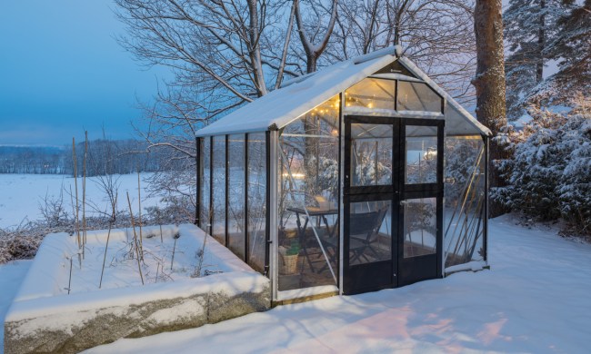 greenhouse in winter