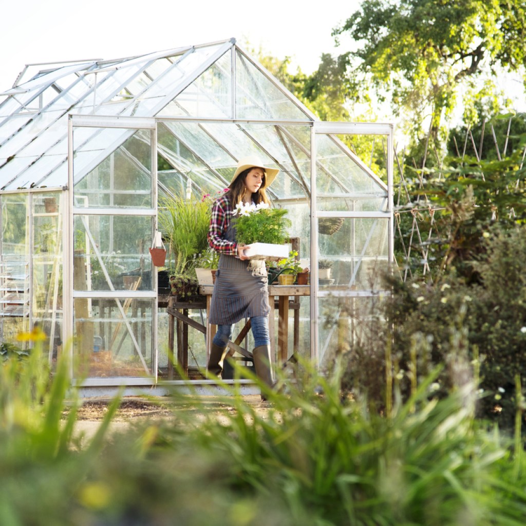 Greenhouse with gardener walking out
