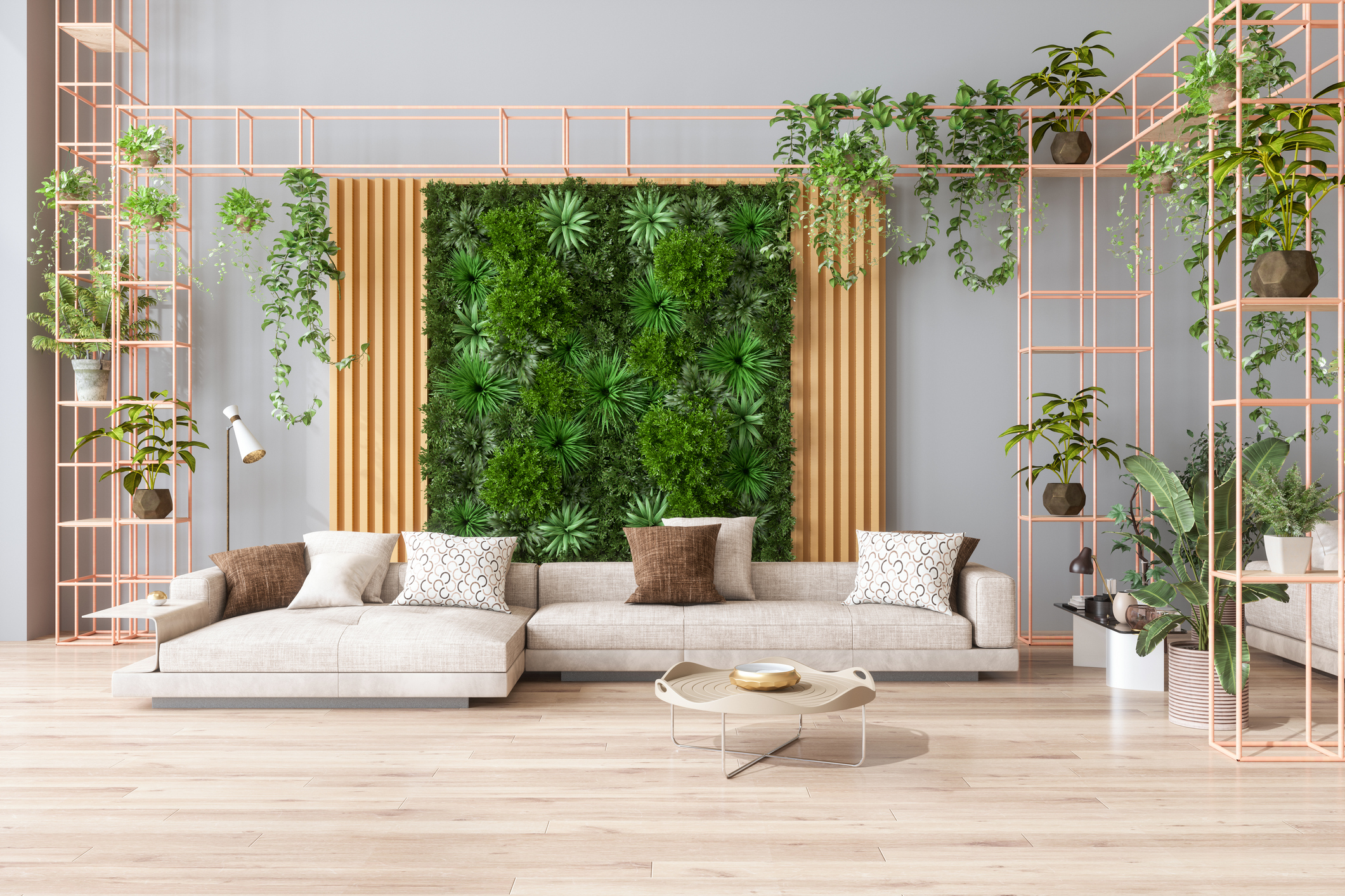 Indoor wall garden