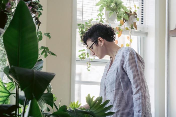 woman caring for plants