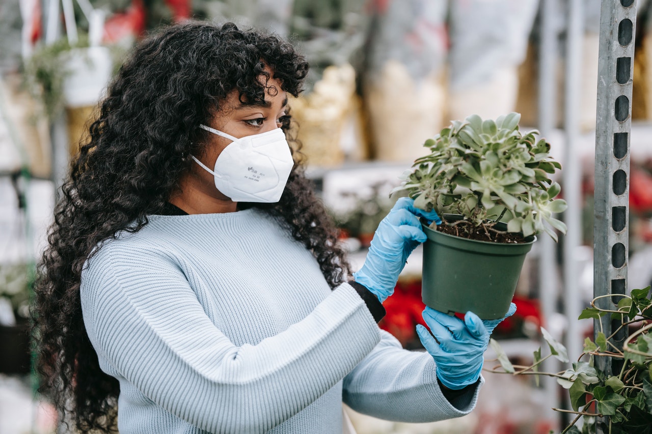 woman inspecting a plant
