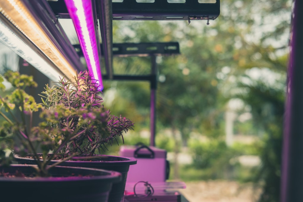 grow light system