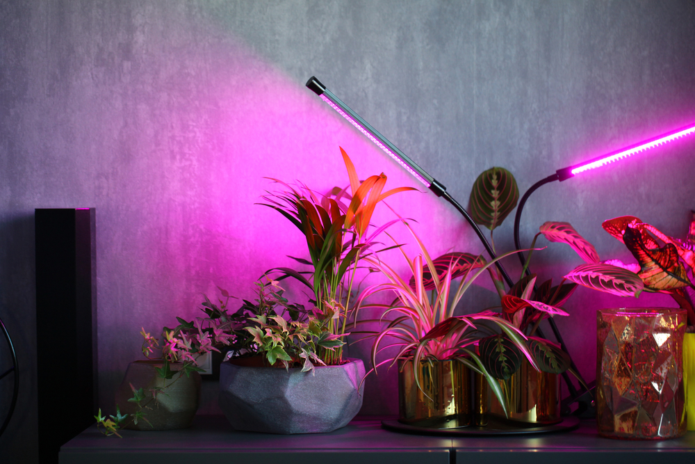 grow light arms