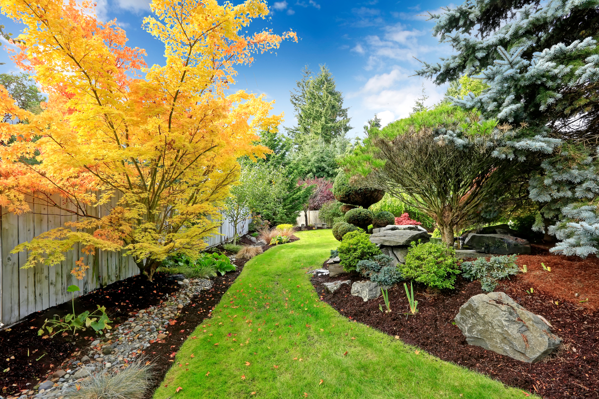 small yard with well designed landscaping