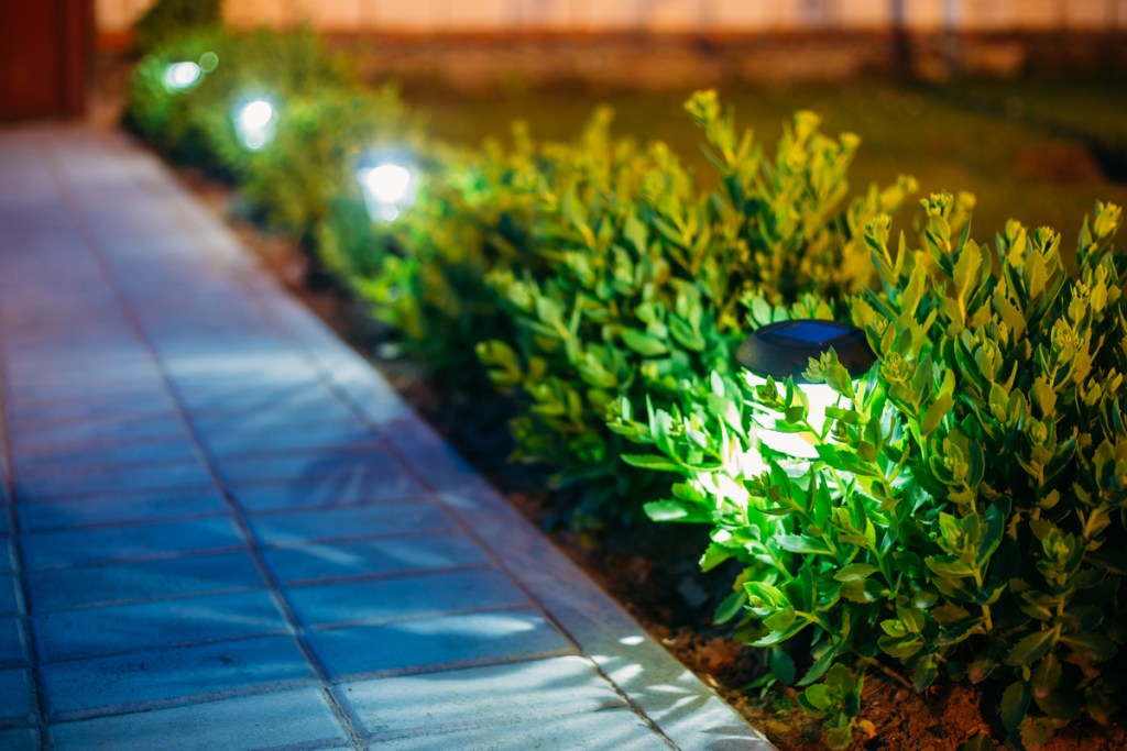 Solar lights along a garden path