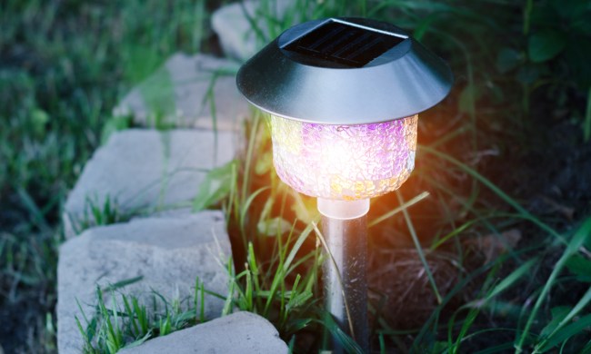 illuminated yard light at night