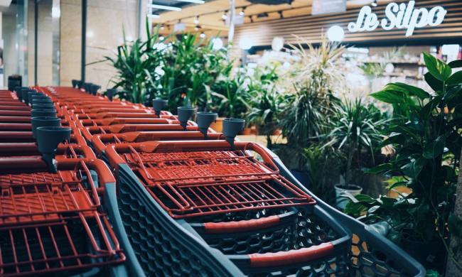 plants with shopping carts