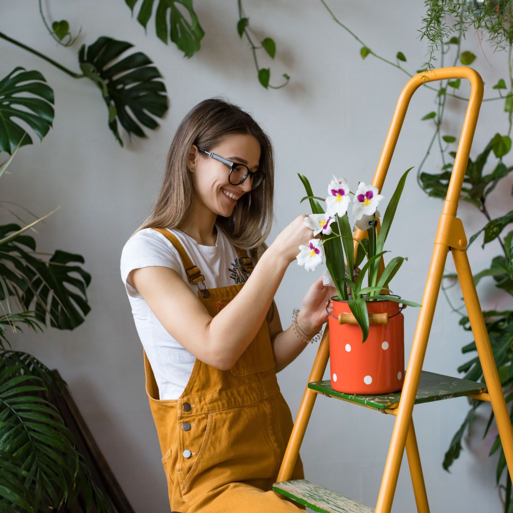 Gardener tends orchid with a smile