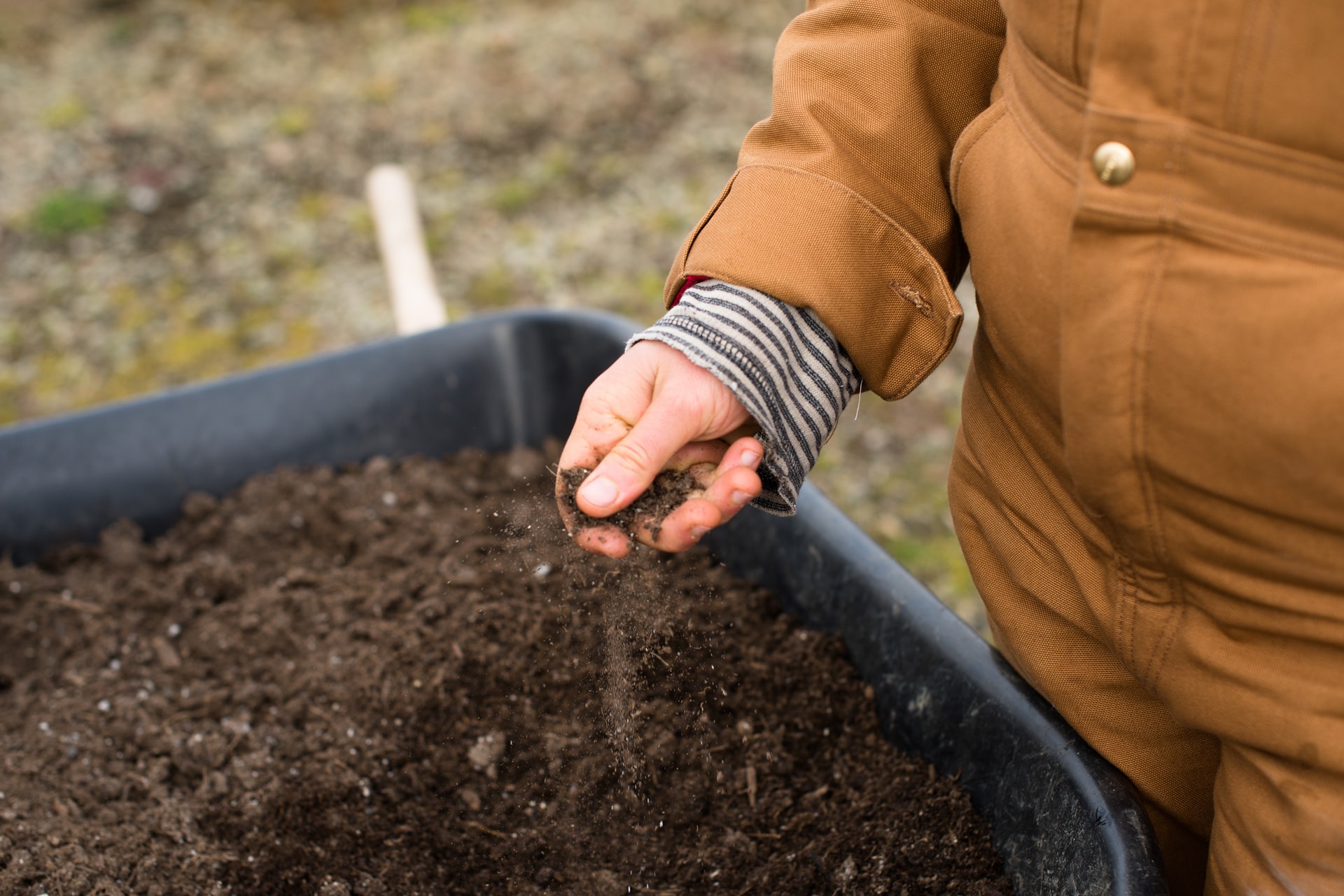 Person holding soil