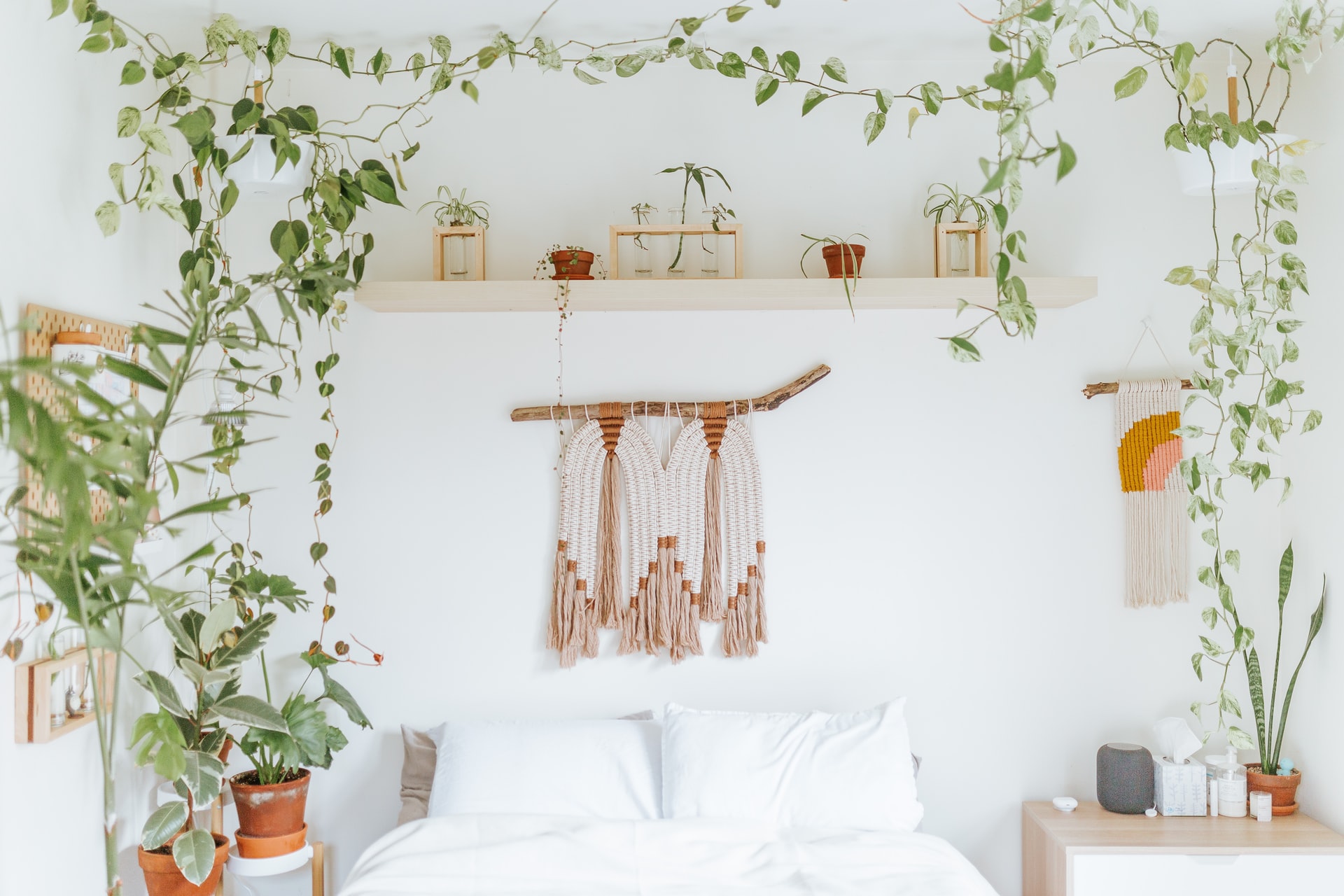 bedroom with lots of houseplants