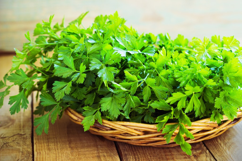 A basket of fresh parsley