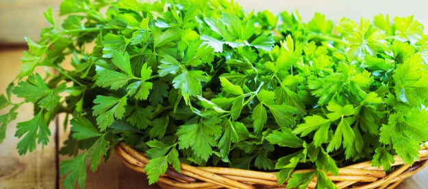 parsley overview facts and research fresh basket