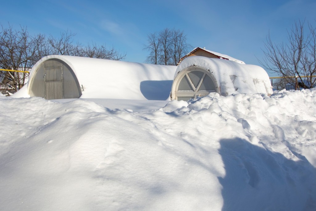 Snow on greenhouses