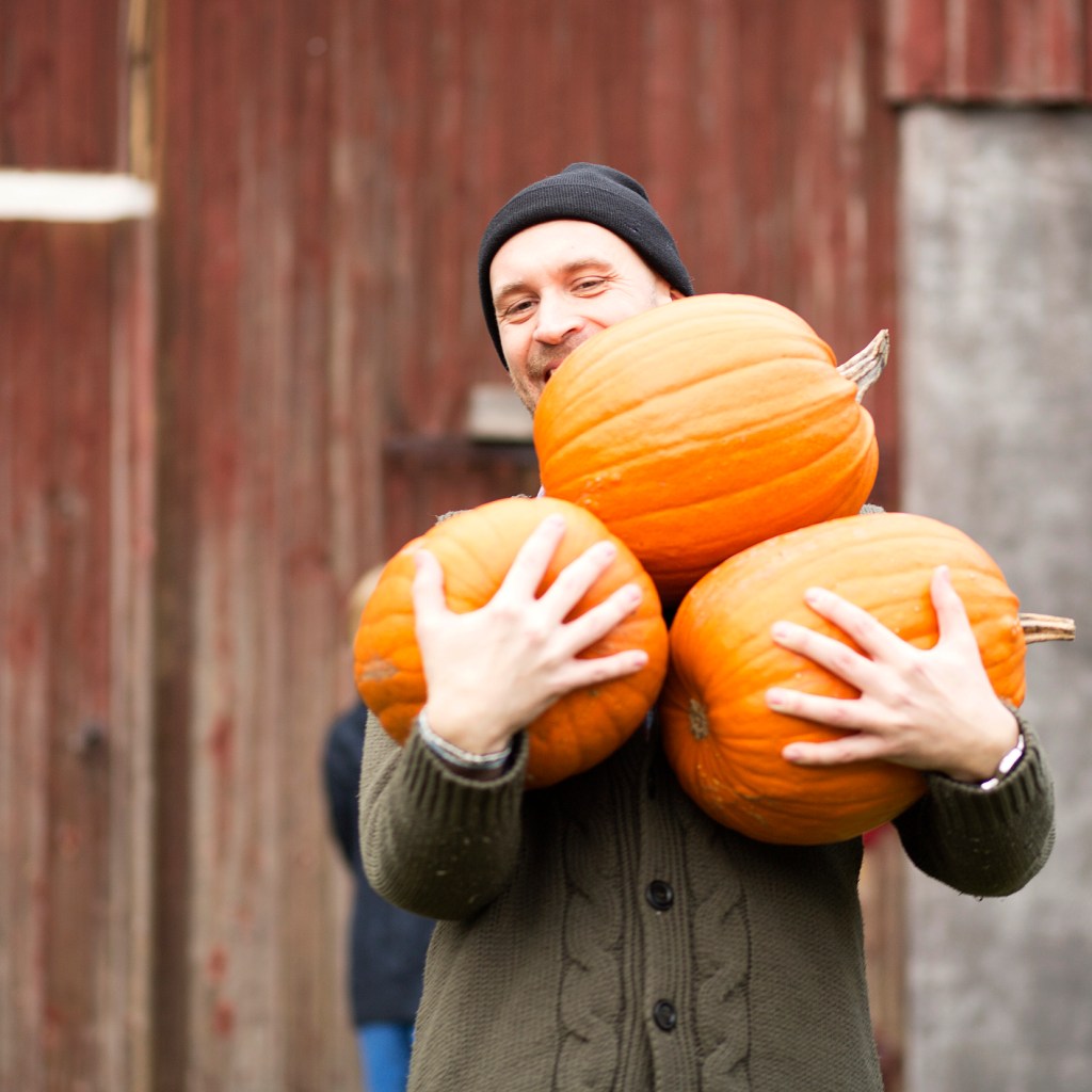 Harvest pumpkins