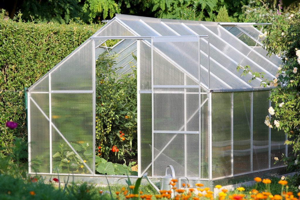 A greenhouse in a home garden